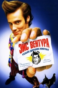 Постер Эйс Вентура: Розыск домашних животных (1993) (Ace Ventura: Pet Detective)