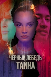 Постер Черный лебедь. Тайна (2023) (Hidden Exposure)