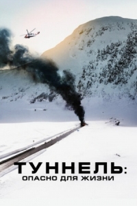 Постер Туннель: Опасно для жизни (2019) (Tunnelen)