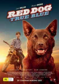 Постер Рыжий пес: Самый верный (2016) (Red Dog: True Blue)