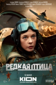 Постер Редкая птица (2024) 