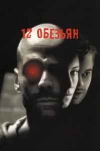 Постер 12 обезьян (1995) (Twelve Monkeys)