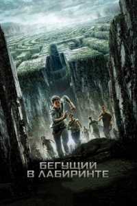 Постер Бегущий в лабиринте (2014) (The Maze Runner)