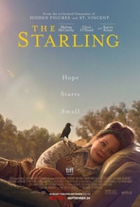 Постер Скворец (2021) (The Starling)