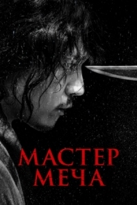 Постер Мастер меча (2020) (Geomgaek)