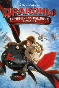 Постер Драконы: Гонки бесстрашных. Начало (2014) (Dragons: Dawn of the Dragon Racers)