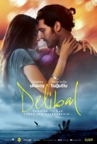 Постер Дикий мёд (2015) (Delibal)