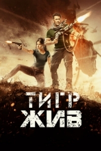 Постер Тигр жив (2017) (Tiger Zinda Hai)