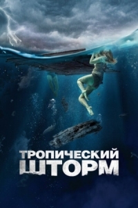 Постер Тропический шторм (2022) (The Requin)