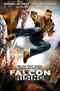 Постер Восхождение Сокола (2014) (Falcon Rising)