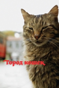 Постер Город кошек (2016) (Kedi)