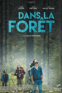 Постер В лесу (2016) (Dans la forêt)