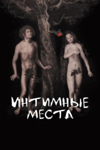 Постер Интимные места (2013) 