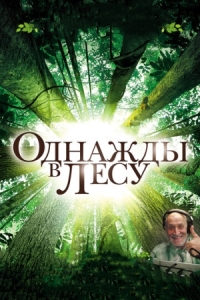 Постер Однажды в лесу (2013) (Once in the Forest)