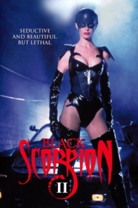 Постер Черный скорпион 2: В эпицентре взрыва (1996) (Black Scorpion II: Aftershock)