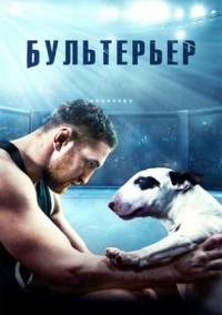 Постер Бультерьер (2022) 