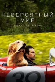 Постер аниме Невероятный мир глазами Энцо (2019)