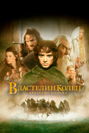 Постер Властелин колец: Братство Кольца (2001)