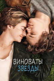 Постер Виноваты звезды (2014)