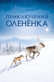 Постер аниме Приключения олененка (2018)