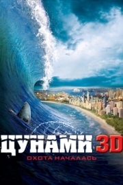 Постер Цунами 3D (2011)