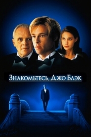 Постер Знакомьтесь, Джо Блэк (1998)