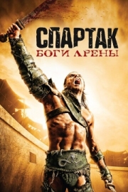 Постер фильмамультфильма Спартак: Боги арены (2010)