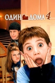 Постер аниме Один дома 4 (2002)