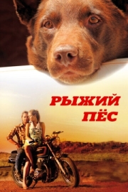 Постер аниме Рыжий пес (2011)