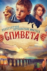 Постер Невероятное путешествие мистера Спивета (2013)