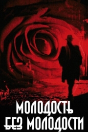 Постер Молодость без молодости (2007)