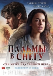 Постер Пальмы в снегу (2015)