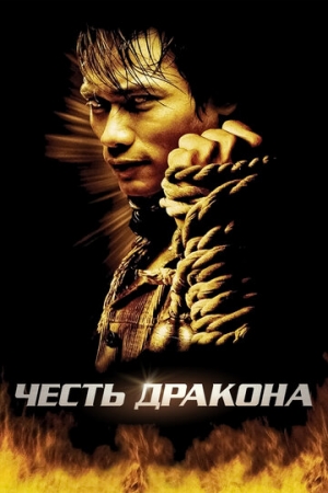 Постер аниме Честь дракона (2005)