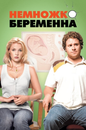 Постер аниме Немножко беременна (2007)