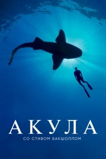 Постер  Акула со Стивом Бакшоллом (2021)