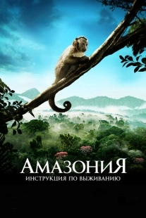 Постер аниме Амазония: Инструкция по выживанию (2013)