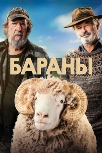 Постер аниме Бараны (2020)