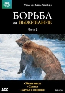 Постер фильмамультфильма BBC: Борьба за выживание (1990)