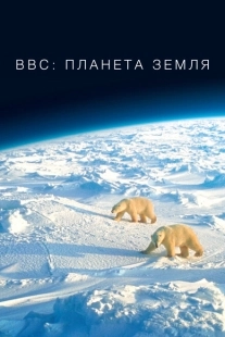 Постер фильмамультфильма BBC: Планета Земля (2006)