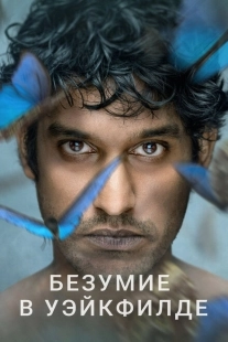 Постер фильмамультфильма Безумие в Уэйкфилде (2021)