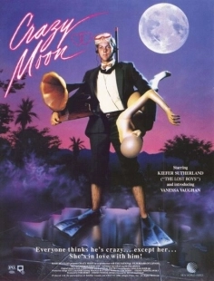 Постер аниме Безумная Луна (1987)