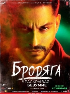 Постер аниме Бродяга: Раскрывая безумие (2020)