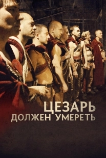 Постер аниме Цезарь должен умереть (2011)