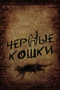 Постер фильмасериала Черные кошки (2013)