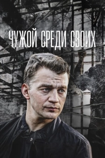 Постер фильмасериала Чужой среди своих (2014)
