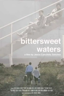Постер аниме Горько-сладкие воды (2019)
