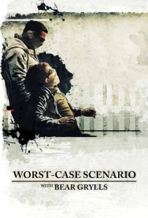 Постер  Хуже быть не могло (2010)