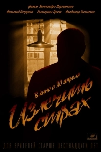 Постер аниме Излечить страх (2013)