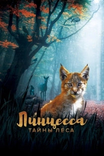 Постер аниме Линцесса. Тайны леса (2023)