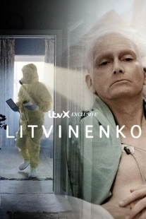 Постер фильмамультфильма Литвиненко (2022)